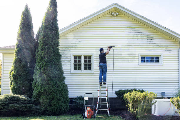 Best Sidewalk and Walkway Cleaning  in Bethpage, NY